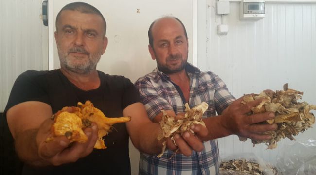 Günde 7 bin lira kazanan bile var...