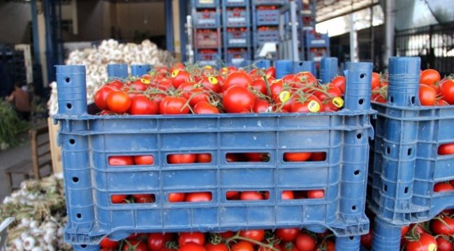 (Özel) Sebze arzı patladı, fiyatlar halde dip yaptı, markette fırladı