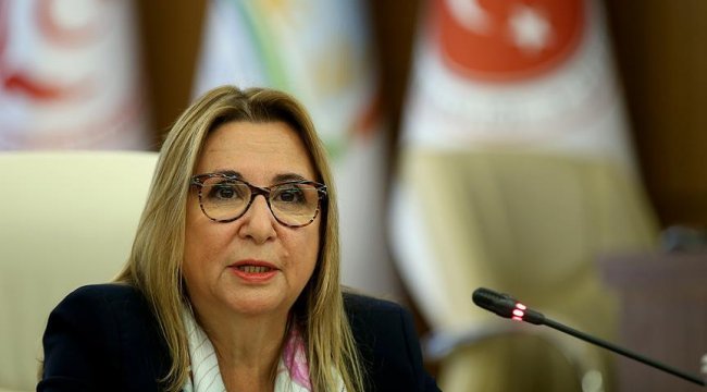 Pekcan: Habur ve Gürbulak gümrük kapıları yük taşımacılığına yeniden açıldı