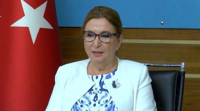 Akdeniz limanları dünya ticaretine önemli katkı sağlamakta