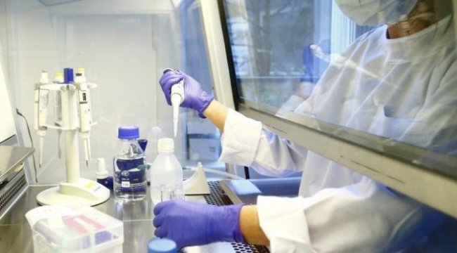 Corona virüsü aşısında son durum: Dünyanın gözü 4 aşıda