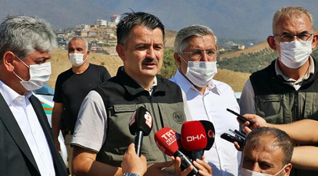 Hatay'da 5 gündür süren orman yangını kontrol altına alındı