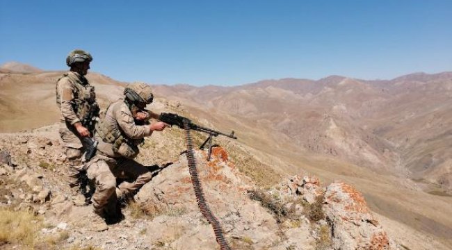 Son dakika... Van'da Yıldırım-10 Norduz operasyonu başlatıldı