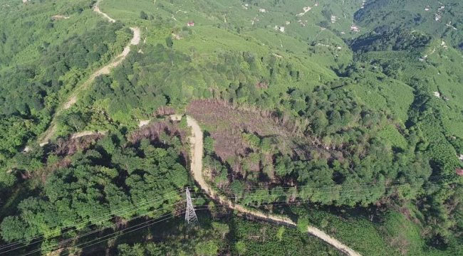 Doğu Karadeniz'de kuraklık arttı, yangın uyarısı geldi