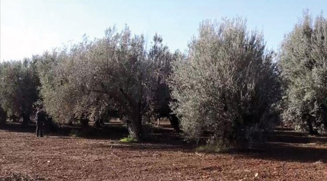 7 ayrı girişime ‘imece’ desteği