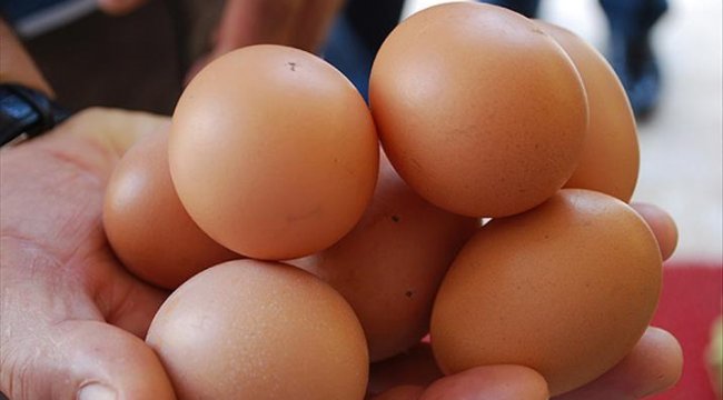 Tavuk yumurtası üretimi azaldı