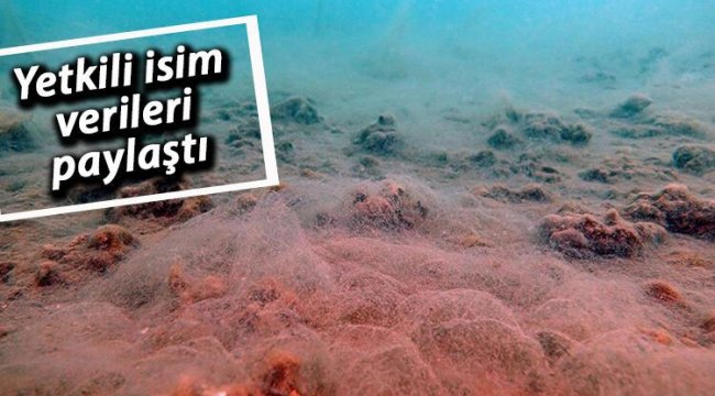 Marmara'nın diplerindeki müsilaj analizinin ilk sonuçları geldi