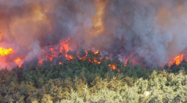 Son dakika... Bakan Muş: Fahiş fiyat artışları inceleye alındı
