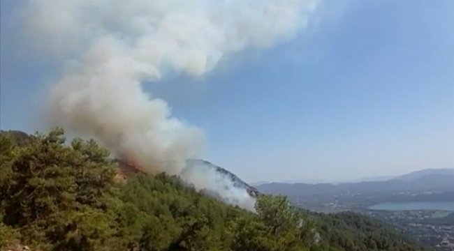 TÜKDES'den Orman yangınlarını fırsata çevirenleri şikayet edin çağrısı