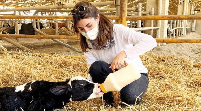 Avustralya’dan Aydın’a uzanan çiftlik