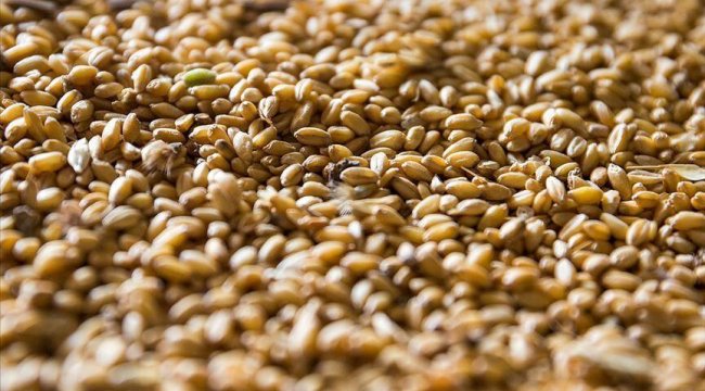Hububat ve bakliyatlarda gümrük vergisi sıfırlandı