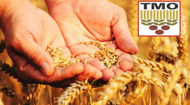 TMO'nun çiftçiye destek ödemesinde son tarih 16 Eylül