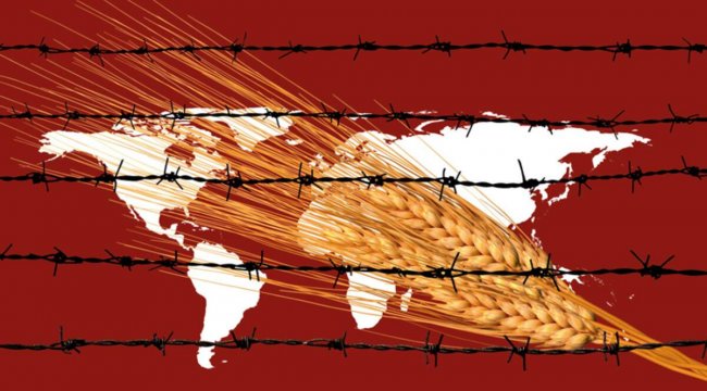 Gıdada yardım alarmı! Ukrayna dahil 45 ülke gıdada dışarıdan yardıma muhtaç