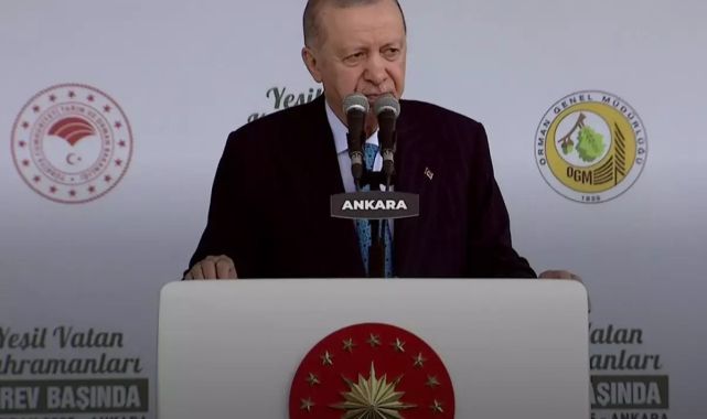 Cumhurbaşkanı Erdoğan'dan 'Yeşil Vatan' vurgusu: 5 karar aldık