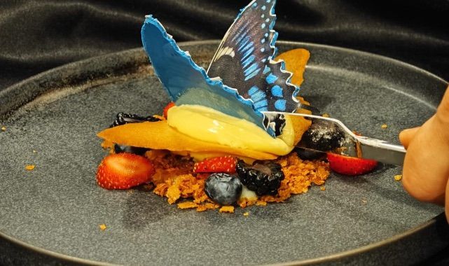 Küçük Kasaphanelerden Büyük Mutfaklara: Dicle Ünal’ın Tatlıya Uzanan Şeflik Serüveni