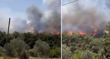 Bir orman yangını da İzmir'de! Bornova'da başlayıp Buca'ya sıçradı