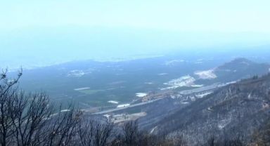 Bursa’da orman yangınlarının ardından 'hava kirliliği' alarmı: Şikayetler yüzde 30 arttı