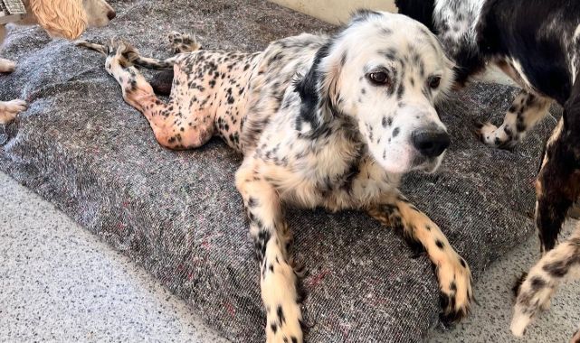 Türkiye’nin Umut Yuvası