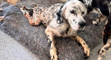 Türkiye’nin Umut Yuvası